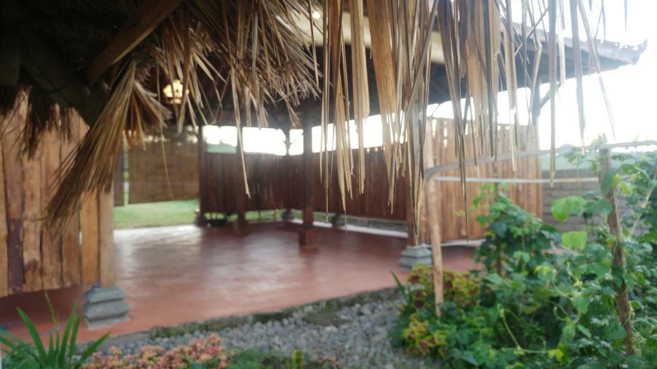 Bali Tiger Hideaway Hotel Pulukan Ngoại thất bức ảnh