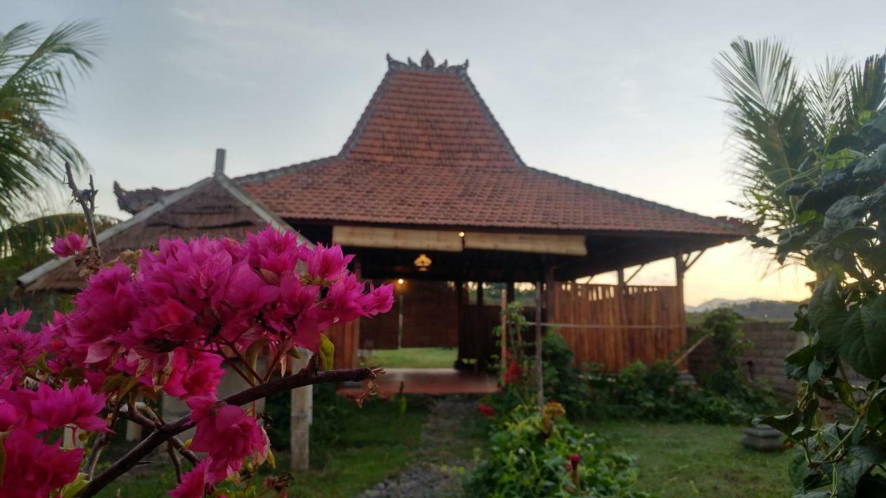 Bali Tiger Hideaway Hotel Pulukan Ngoại thất bức ảnh
