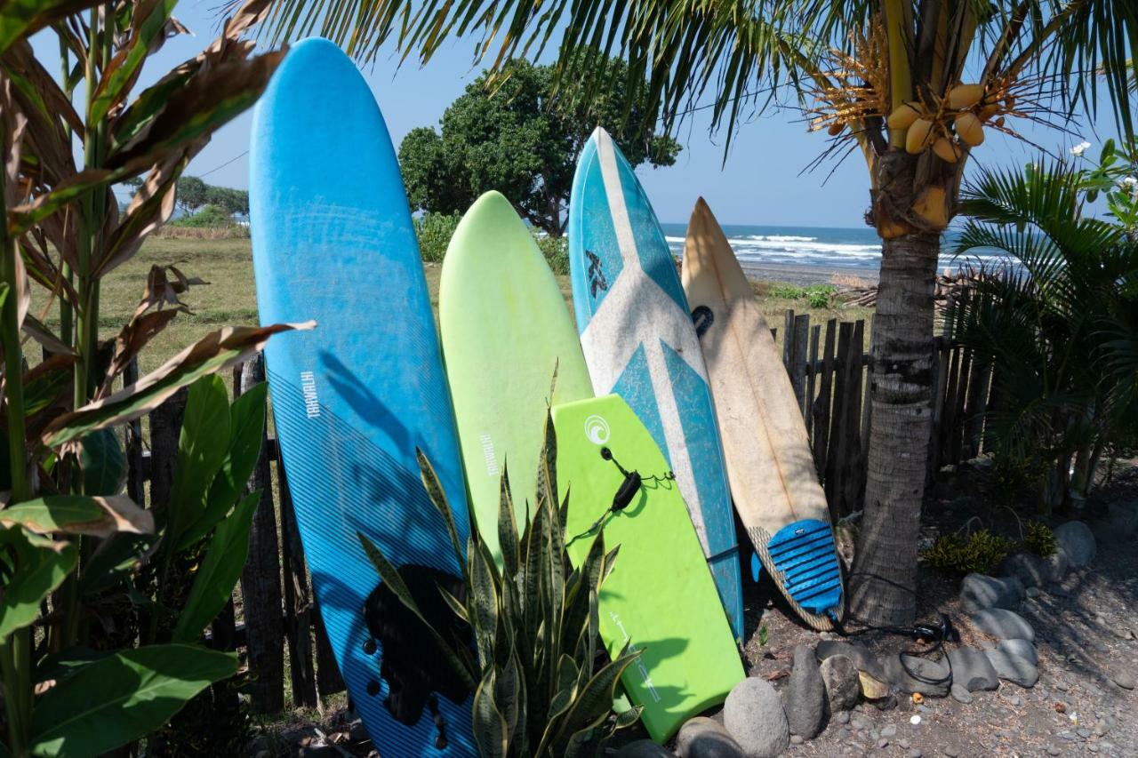 Bali Tiger Hideaway Hotel Pulukan Ngoại thất bức ảnh