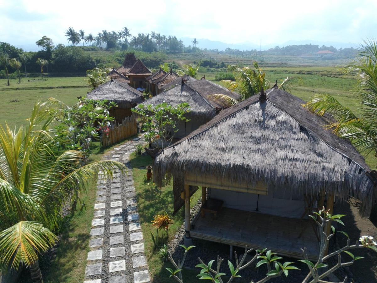 Bali Tiger Hideaway Hotel Pulukan Ngoại thất bức ảnh